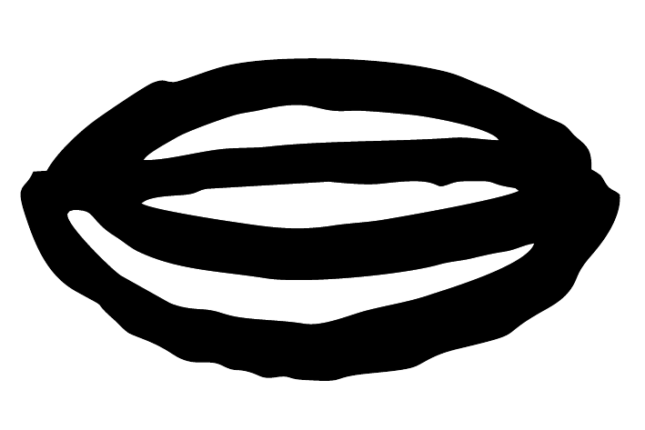 Naked & Holy cacao pod icon